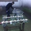 cam-boyama-34